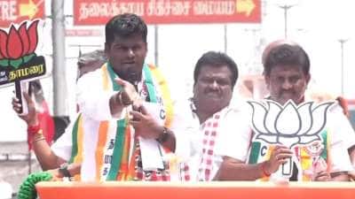 திமுக தலைவர்களுக்கு வாய் இல்லன்னா நாய் தூக்கிட்டு போயிடும்-அண்ணாமலை விமர்சனம்!