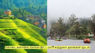 கொடைக்கானல் செல்ல திட்டமா? சுற்றுலா தலங்கள் மூடல் - வனத்துறை அறிவிப்பு!