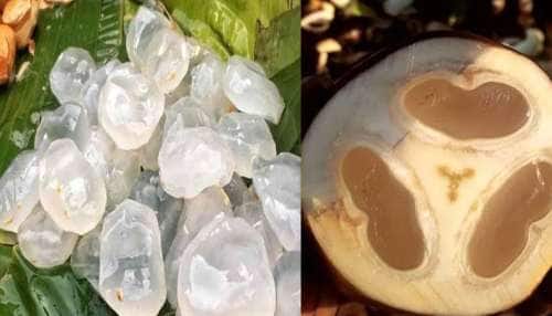 ठेले पर बिकने वाली यह चीज खाएं और पाएं लिवर कैंसर से राहत, जानिए कैसे! “ ˌ ठेले पर बिकने वाली यह चीज खाएं और पाएं लिवर कैंसर से राहत, जानिए कैसे! “ ˌ