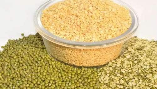 Health News| Amazing Health Benefits of Moong Dal | பாசிப்பருப்பு ஒரு  பொக்கிஷம்: பல உடல் பிரச்சனைகளின் ஒரே தீர்வு, விவரம் இதோ | Health News in  Tamil