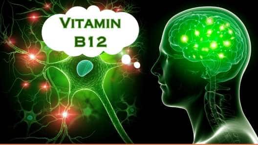 நரம்பு மண்டலத்தை பாதிக்கும் வைட்டமின் B12 குறைபாடு... அறிகுறிகளும்... உணவுகளும்..!!