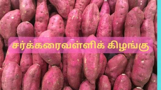 வெயிட் லாஸ் முதல் கொலஸ்ட்ரால் வரை.... பீட்டா கரோட்டின் நிறைந்த சர்க்கரைவள்ளிக் கிழங்கின் வியக்க வைக்கும் நன்மைகள்