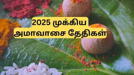 2025ல் வரும் முக்கிய அமாவாசை தேதிகள்... குறித்து வைத்துக் கொள்ளுங்கள்