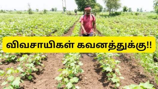 பயிர்களை பாதுகாப்பது எப்படி? விவசாயிகளுக்கு தமிழ்நாடு அரசு மிக முக்கிய அறிவுறுத்தல்