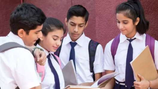 12ஆம் வகுப்புக்குப் பிறகு என்ன படிக்கலாம்? இந்த கோர்ஸ்கள் உயர் சம்பளத்திற்கான வாய்ப்புகளை தரும்!