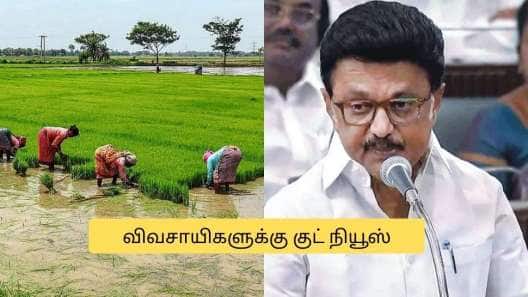 விவசாயிகளுக்கு ஜாக்பாட்! பிப்ரவரி 15 முதல் வங்கி கணக்கிற்கு வரும் பணம்.. தமிழக அரசு அறிவிப்பு
