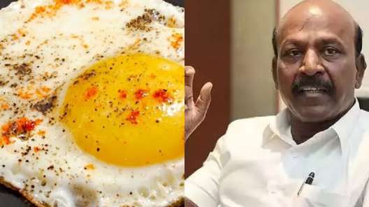 பறவைக் காய்ச்சல்: Half Boil சாப்பிடலாமா.. வேண்டாமா? அமைச்சர் கொடுத்த அலர்ட்