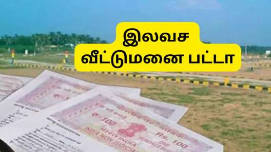 காஞ்சிபுரம் மாவட்டம்: 1,404 பயனாளிகளுக்கு இலவச வீட்டுமனை பட்டா, நலத்திட்ட உதவிகள்