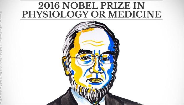 மருத்துவத்துறை நோபல் பரிசு: ஜப்பான் நாட்டின் யோஷிநாரி ஓஷூமிக்கு அறிவிப்பு 