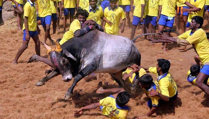 ஜல்லிக்கட்டு: தமிழக அரசின் சீராய்வு மனுவை தள்ளுபடி  title=