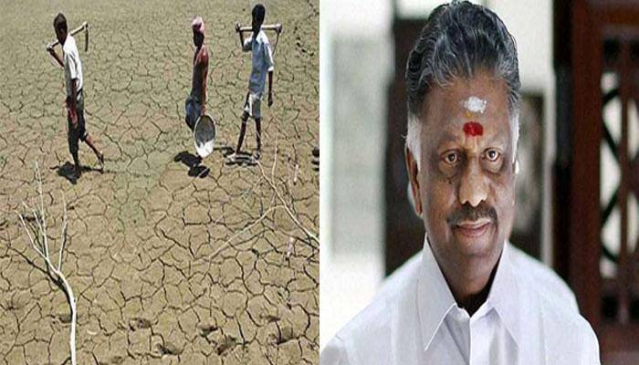 தமிழகம் வறட்சி மாநிலமாக அறிவிக்கப்படும்: ஓ.பி.எஸ். தமிழகம் வறட்சி மாநிலமாக அறிவிக்கப்படும்: ஓ.பி.எஸ்.