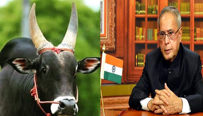 ஜல்லிக்கட்டு அவசரச்சட்ட வரைவு குடியரசுத்தலைவர் ஒப்புதலுக்கு அனுப்பப்பட்டது ஜல்லிக்கட்டு அவசரச்சட்ட வரைவு குடியரசுத்தலைவர் ஒப்புதலுக்கு அனுப்பப்பட்டது