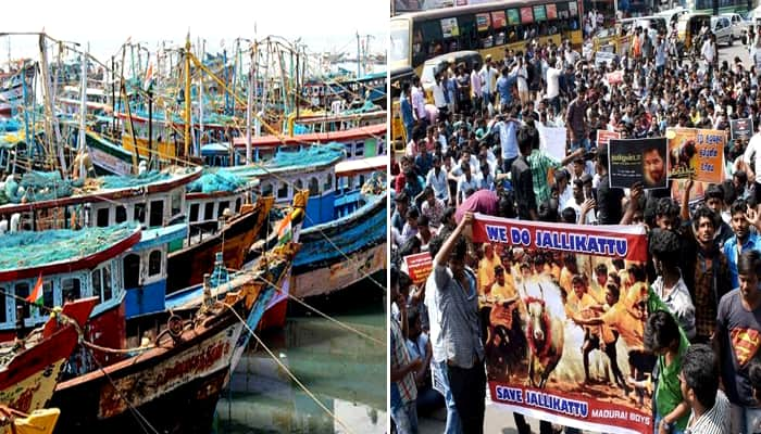 ஜல்லிக்கட்டுக்கு ஆதரவாக மீனவர்கள் இன்று வேலை நிறுத்தம்