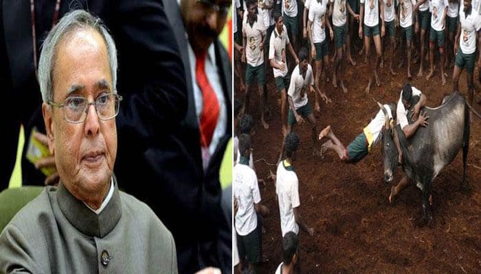 ஜல்லிக்கட்டு சட்டத்திற்கு ஜனாதிபதி பிரணாப் முகர்ஜி ஒப்புதல் ஜல்லிக்கட்டு சட்டத்திற்கு ஜனாதிபதி பிரணாப் முகர்ஜி ஒப்புதல்