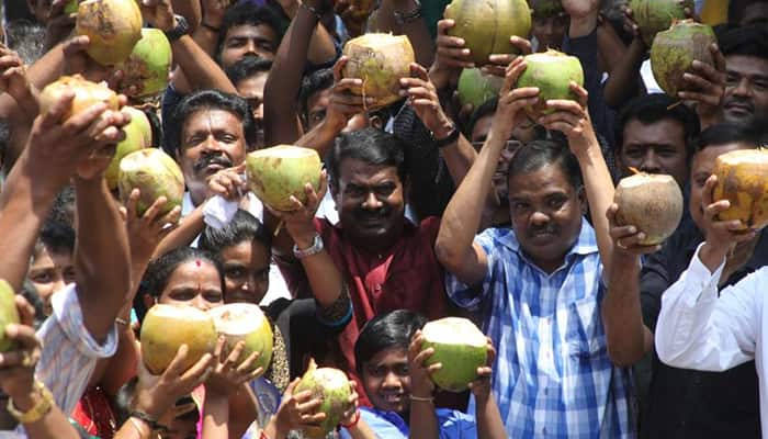 கொளத்தூரில் சீமான் தலைமையில் இளநீர் குடிக்கும் திருவிழா!!