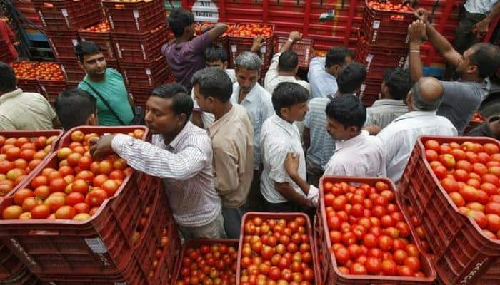 தக்காளியை பாதுகாக்க பாதுகாவலர்கள் நியமனம்!