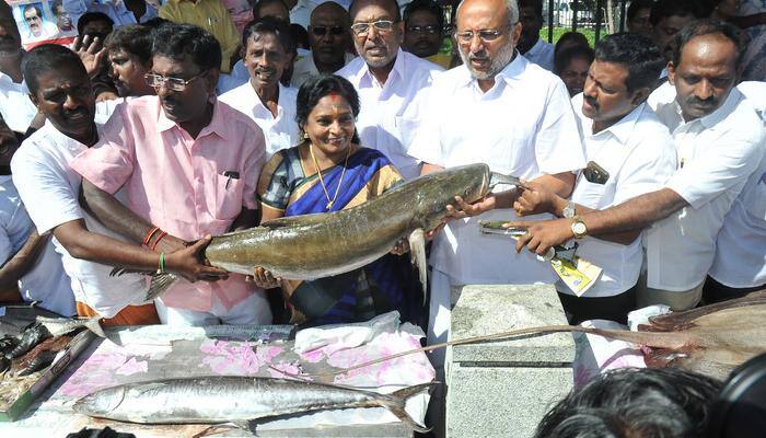 உலக மீனவர் தினத்தை முன்னிட்டு சிறப்பு கண்காட்சி! title=