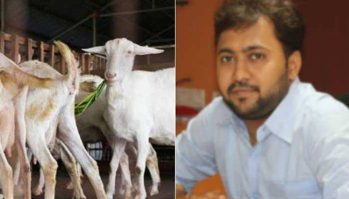 ஆச்சிரியம்!! ஆடு மேய்ப்பதற்காக விஞ்ஞானி வேலையை ராஜினாமா செய்த இளைஞர் ஆச்சிரியம்!! ஆடு மேய்ப்பதற்காக விஞ்ஞானி வேலையை ராஜினாமா செய்த இளைஞர்