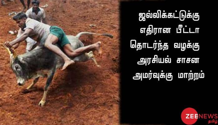 ஜல்லிக்கட்டுக்கு எதிரான வழக்கு: அரசியல் சாசன அமர்வுக்கு மாற்றம்