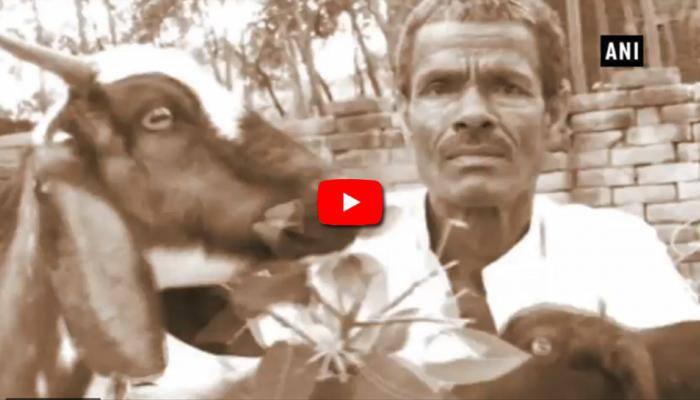 Video: கழிவரை கட்ட 7 ஆடுகளை விற்ற நிஜ வாழ்வு ஜோக்கர்! Video: கழிவரை கட்ட 7 ஆடுகளை விற்ற நிஜ வாழ்வு ஜோக்கர்!