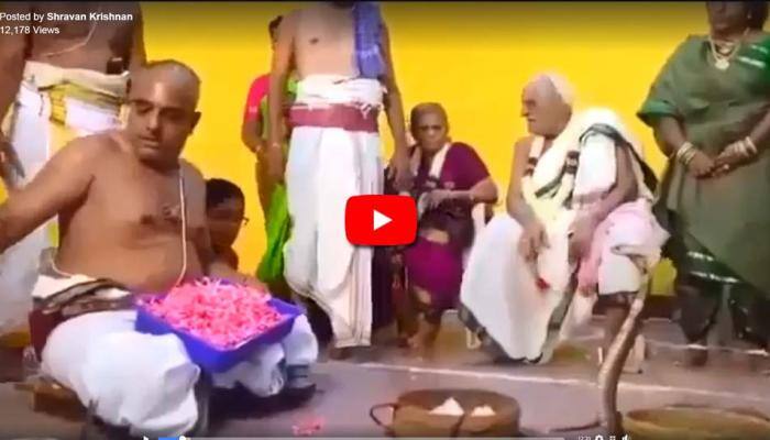 Video: பாம்பிற்கு பூஜை செய்த கடலூர் சாமியார் கைது!