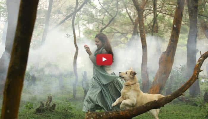 4 ஆண்டுக்கு பிறகு சினிமாவில் நஸ்ரியா ரீஎன்ட்ரி! வீடியோ உள்ளே!