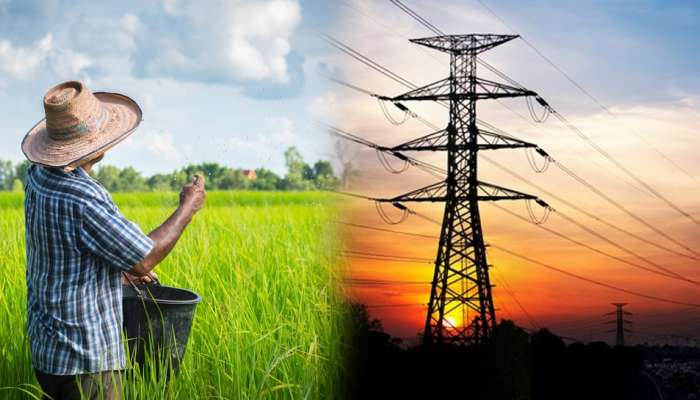 விவசாயத்திற்கு தட்கல் முறைப்படி 10 ஆயிரம் மின் இணைப்பு -தங்கமணி!! விவசாயத்திற்கு தட்கல் முறைப்படி 10 ஆயிரம் மின் இணைப்பு -தங்கமணி!!