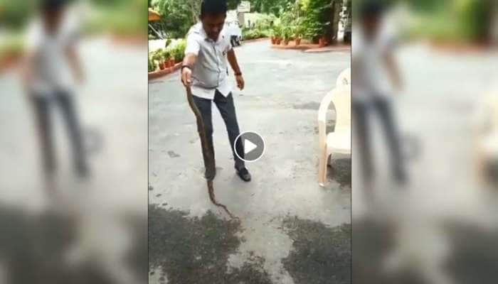 Video: வெறும் கையால் விஷப் பாம்பினை பிடித்து அசத்திய MLA!
