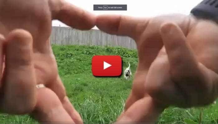 Viral Video: KikiChallenge-ஐ தொடர்ந்து வைரலாகும் ஸ்னூட் சவால்....! Viral Video: KikiChallenge-ஐ தொடர்ந்து வைரலாகும் ஸ்னூட் சவால்....!