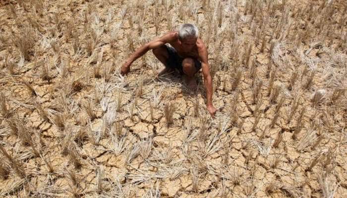 கருகும் நெற்பயிர்கள்; உழவர்கள் கவலை; அமைதி காக்கும் அரசு -ராமதாஸ் கண்டனம் கருகும் நெற்பயிர்கள்; உழவர்கள் கவலை; அமைதி காக்கும் அரசு -ராமதாஸ் கண்டனம்