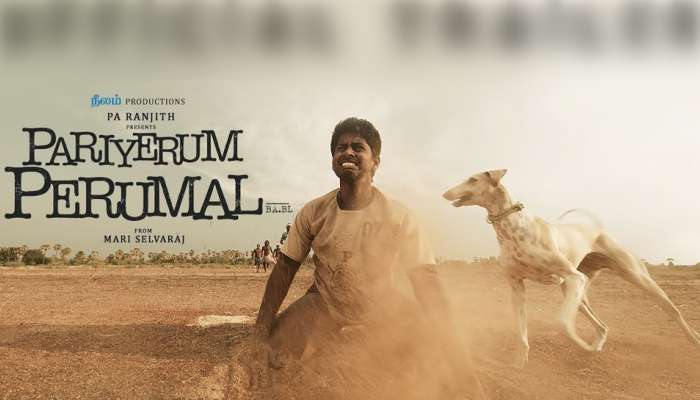 "பரியேறும் பெருமாள்" படத்திற்கு வடநாட்டில் கிடைத்த பெருமை! "பரியேறும் பெருமாள்" படத்திற்கு வடநாட்டில் கிடைத்த பெருமை!