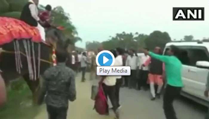 வைரல் வீடியோ- யானை மீதிருந்து தவறி விழுந்த பாஜக எம்.எல்.ஏ., வைரல் வீடியோ- யானை மீதிருந்து தவறி விழுந்த பாஜக எம்.எல்.ஏ.,
