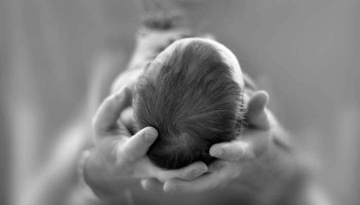 குரங்கு தாக்கியதில் பிறந்து 12 நாட்களே ஆனா குழந்தை மரணம்.... குரங்கு தாக்கியதில் பிறந்து 12 நாட்களே ஆனா குழந்தை மரணம்....