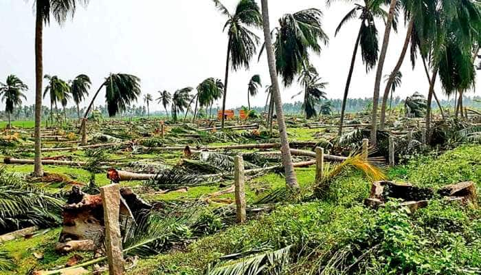 கஜா புயல் பாதித்த பகுதிகளை மத்தியக் குழுவினர் இன்று ஆய்வு.....