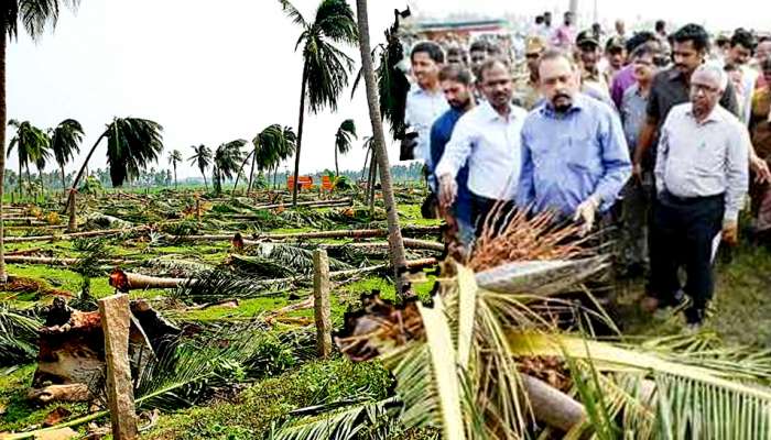 புயலால் பாதிக்கப்பட்ட தென்னை மரங்கள் குறித்து மத்தியக்குழு ஆய்வு... title=