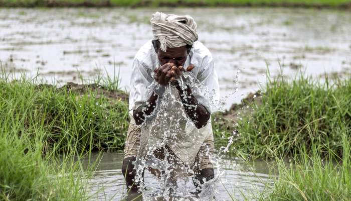 விவசாயிகளுக்கு புத்தாண்டு பரிசு: பயிர்கடன் முற்றிலும் தள்ளுபடி....