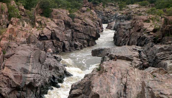 மேகதாதுவில் கர்நாடகா அணை கட்ட அனுமதி அளிக்கப்படவில்லை: மத்திய அரசு மேகதாதுவில் கர்நாடகா அணை கட்ட அனுமதி அளிக்கப்படவில்லை: மத்திய அரசு