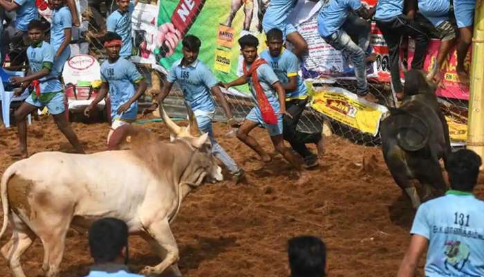 உலக புகழ்பெற்ற அலங்காநல்லூர் ஜல்லிக்கட்டு நிறைவுபெற்றது! title=