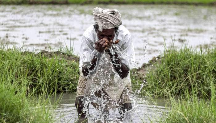 #TNBudget2019: விவசாயிகளுக்கு ₹ 10 ஆயிரம் கோடி அளவுக்கு பயிர்க்கடன்....