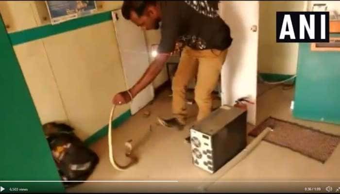 ATM இயந்திரத்தில் பணத்திற்கு பதில் பாம்பு வந்ததால் மக்கள் பீதி: WATCH ATM இயந்திரத்தில் பணத்திற்கு பதில் பாம்பு வந்ததால் மக்கள் பீதி: WATCH