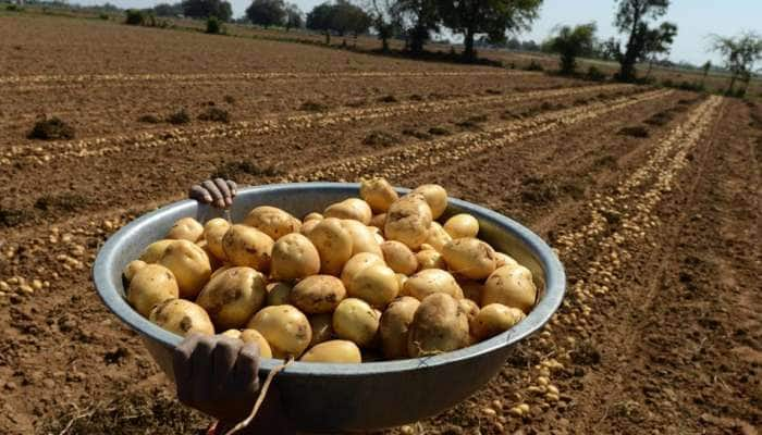 உருளை விவசாயிகளுக்கு எதிரான வழக்கு; திரும்ப பெறும் PepsiCo! title=