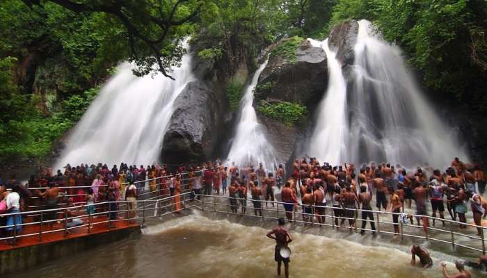சீசன் துவங்கியதால் குற்றாலத்தில் சுற்றுலா பயணிகள் வருகை அதிகரிப்பு! சீசன் துவங்கியதால் குற்றாலத்தில் சுற்றுலா பயணிகள் வருகை அதிகரிப்பு!