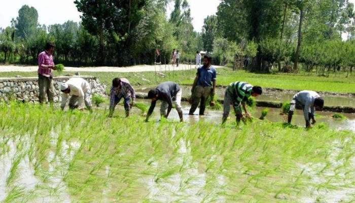 விவசாயிகளுக்கு ஒரு நல்ல செய்தி! மாதத்திற்கு ரூ .3000 ஓய்வூதியம்.... விவசாயிகளுக்கு ஒரு நல்ல செய்தி! மாதத்திற்கு ரூ .3000 ஓய்வூதியம்....