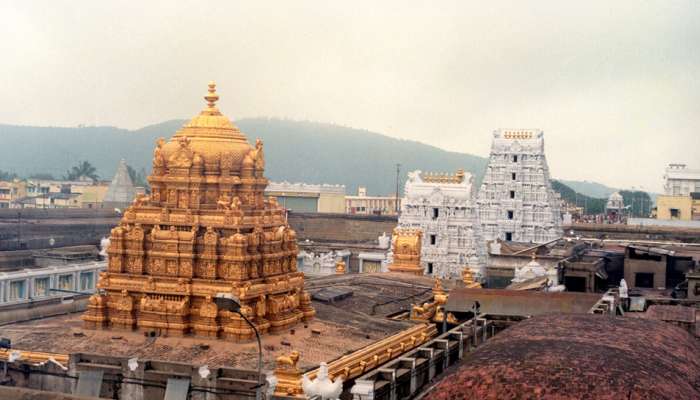 திருப்பதியில் இனி VIP டிக்கெட் பெற ₹10000 செலுத்த வேண்டும்! திருப்பதியில் இனி VIP டிக்கெட் பெற ₹10000 செலுத்த வேண்டும்!