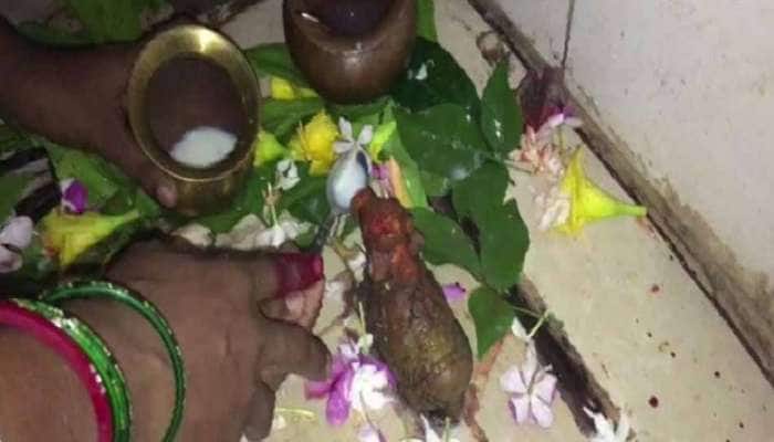 பக்தர்கள் வழங்கும் பாலை உட்கொள்ளும் கயாவில் உள்ள நந்தி சிலை! பக்தர்கள் வழங்கும் பாலை உட்கொள்ளும் கயாவில் உள்ள நந்தி சிலை!
