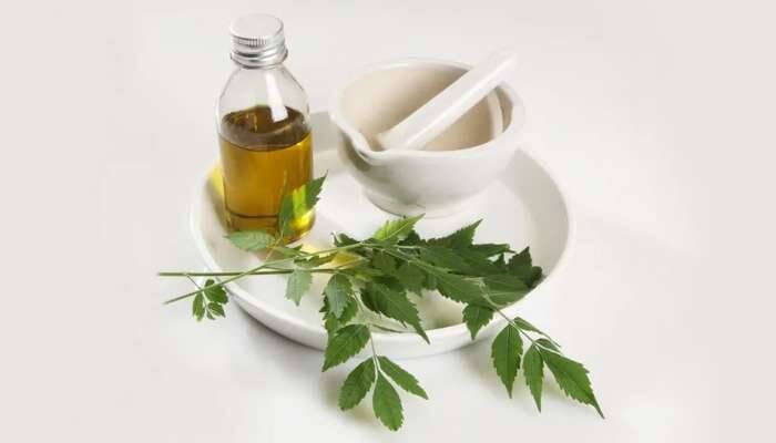 தோல், கூந்தல் பிரச்சனைகளுக்கு உதவும் வேப்ப எண்ணெய்... தோல், கூந்தல் பிரச்சனைகளுக்கு உதவும் வேப்ப எண்ணெய்...