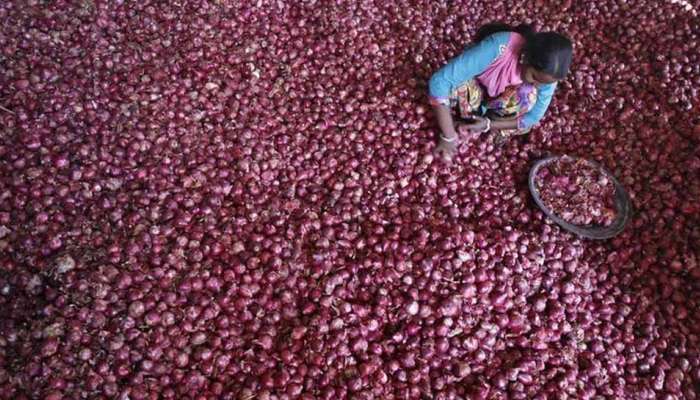வெங்காயத்தை பதுக்கி வைத்திருந்தால் கடுமையான நடவடிக்கை: அரசு எச்சரிக்கை! வெங்காயத்தை பதுக்கி வைத்திருந்தால் கடுமையான நடவடிக்கை: அரசு எச்சரிக்கை!