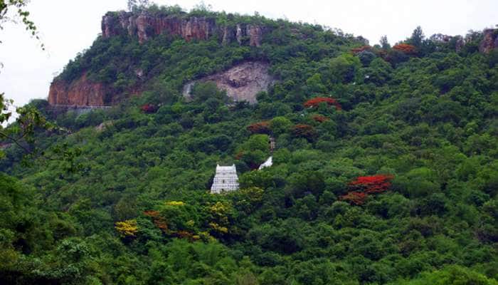 சென்னையில் உதயமாகும் திருப்பதி ஏழுமலையான் கோயில்? சென்னையில் உதயமாகும் திருப்பதி ஏழுமலையான் கோயில்?