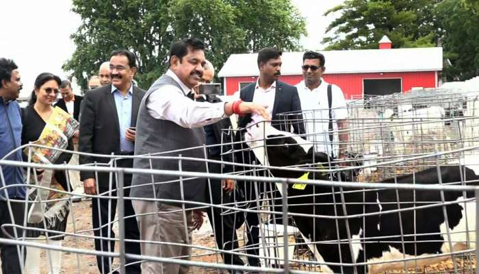 பஃபல்லோ கால்நடை பண்ணையில் தமிழக முதல்வர் பழனிசாமி! பஃபல்லோ கால்நடை பண்ணையில் தமிழக முதல்வர் பழனிசாமி!