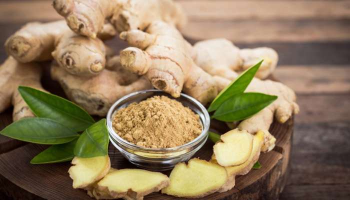 உடல் ஆரோக்கியத்திற்கு நன்மை பயக்கும் இஞ்சி -ஒரு பார்வை! உடல் ஆரோக்கியத்திற்கு நன்மை பயக்கும் இஞ்சி -ஒரு பார்வை!